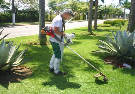 Saiba como garantir uma boa manutenção de áreas verdes