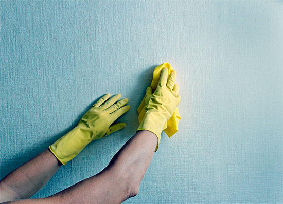 Como limpar as parede sem estragar a tinta